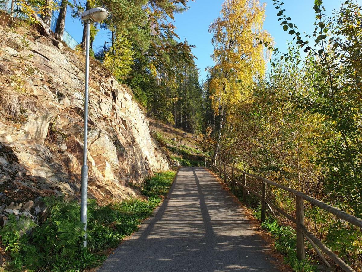 Lipno Nad Vltavou - Apartman 23 - Wifi, Parking, Netflix מראה חיצוני תמונה